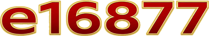 e16877